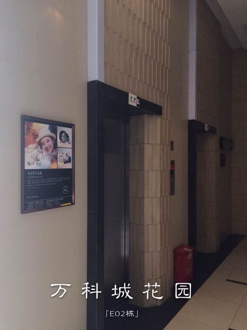 廣州樓宇電梯廣告公司專業服務與市場分析